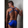 Breedwell Harnais Reflector Neon Bleu